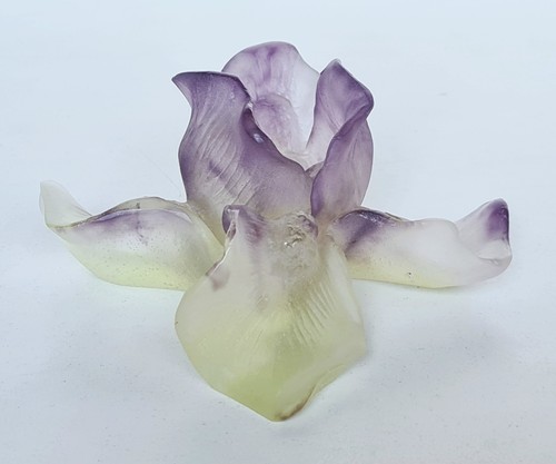 Daum cristallerie iris - daum, violett