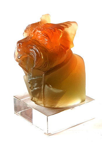 Glas hund yorkshire - glas, terrier