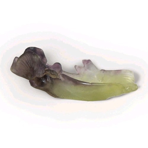 Daum iris mini coupelle pate - daum,