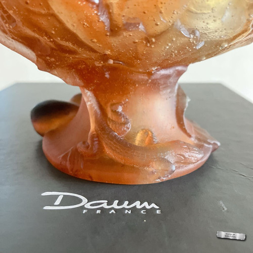 Daum frankreich feige eidechse - daum,